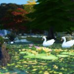 Agrémenté de quelques plantes et effets, un étang très simple se transforme en un magnifique espace bucolique pour vos jardins Sims 4